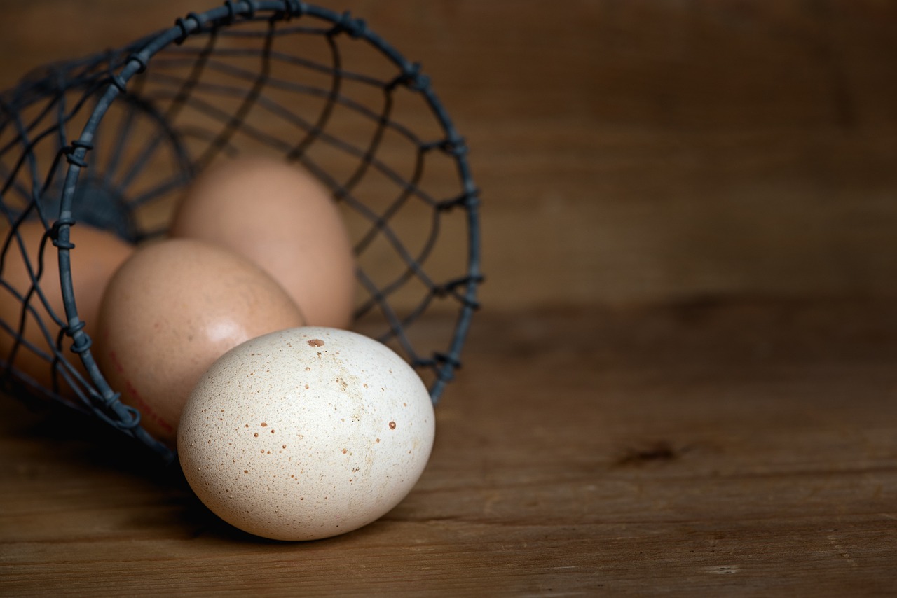 Het witte of het bruine ei 