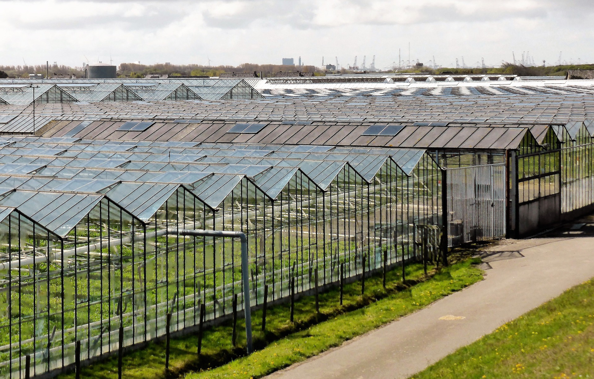 Belangenbehartiger in dé kassengemeente