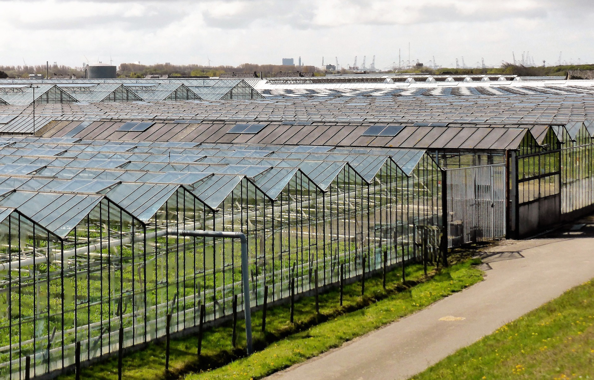 Belangenbehartiger in dé kassengemeente